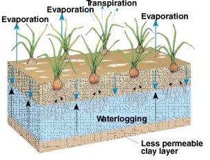 Soil Degradation: Irrigation Waterlogging Results when