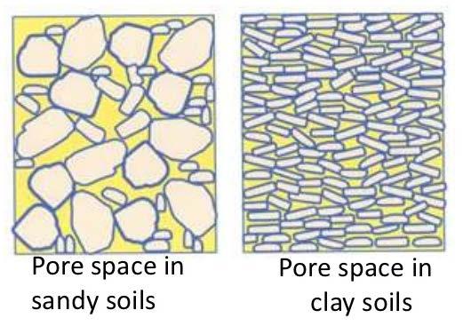 Importance of Grain Size How would the pore spaces in clay soil compare to the pore spaces in sandy soil?