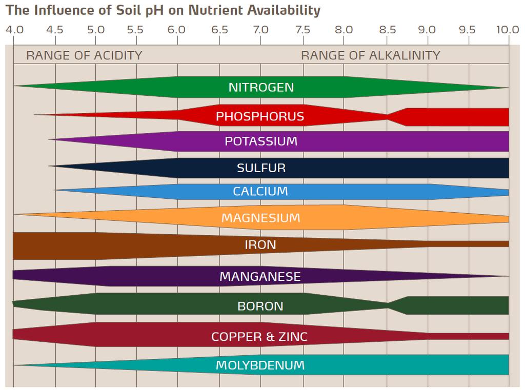 Soil Nutrients and ph The acceptable range of ph for a soil will depend on the crop