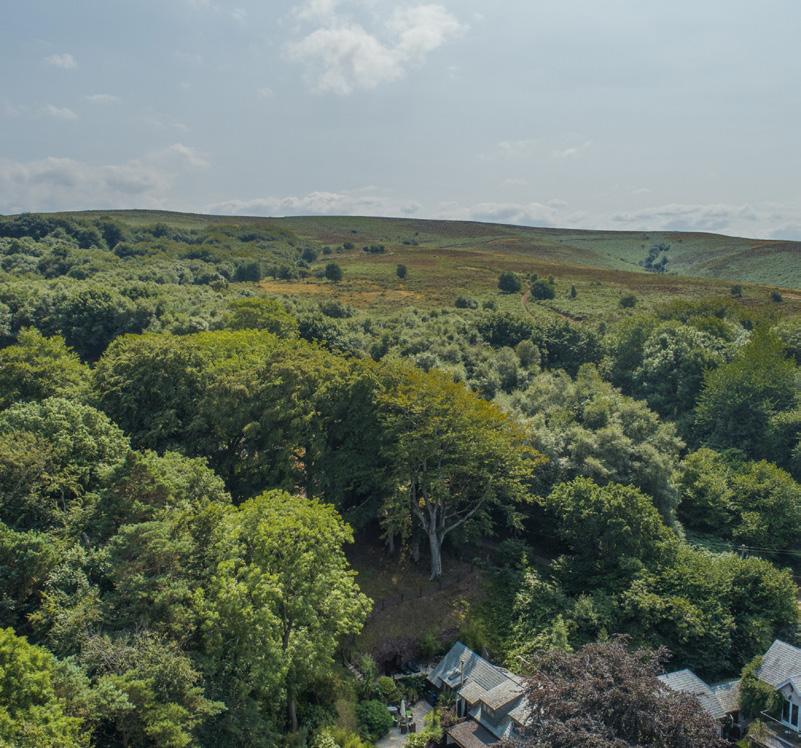 Situation Approached via a sweeping drive, this impressive house is set in a magical location at the top of Somerset s Quantock Hills, a place where ancient woodland meets wild moorland and Jurassic