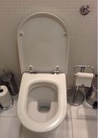 Chrome toilet roll holder with chrome free standing toilet roll holder. Chrome toilet brush holder. Chrome pop up bin.