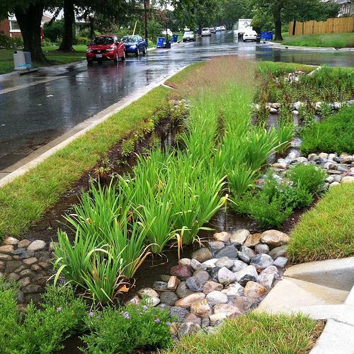 Examples of LID Continued: Stormwater Reuse Surface ponds, underground catchment devices, or surficial aquifers store rainfall for future irrigation reuse.