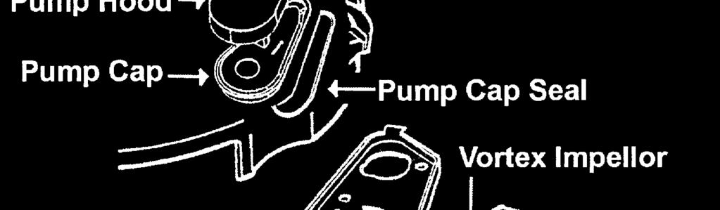 the pump. If however there are concerns over the condition of the water and there may be a risk of infection, i.e. from hepatitis etc, then bail the water from the machine first.