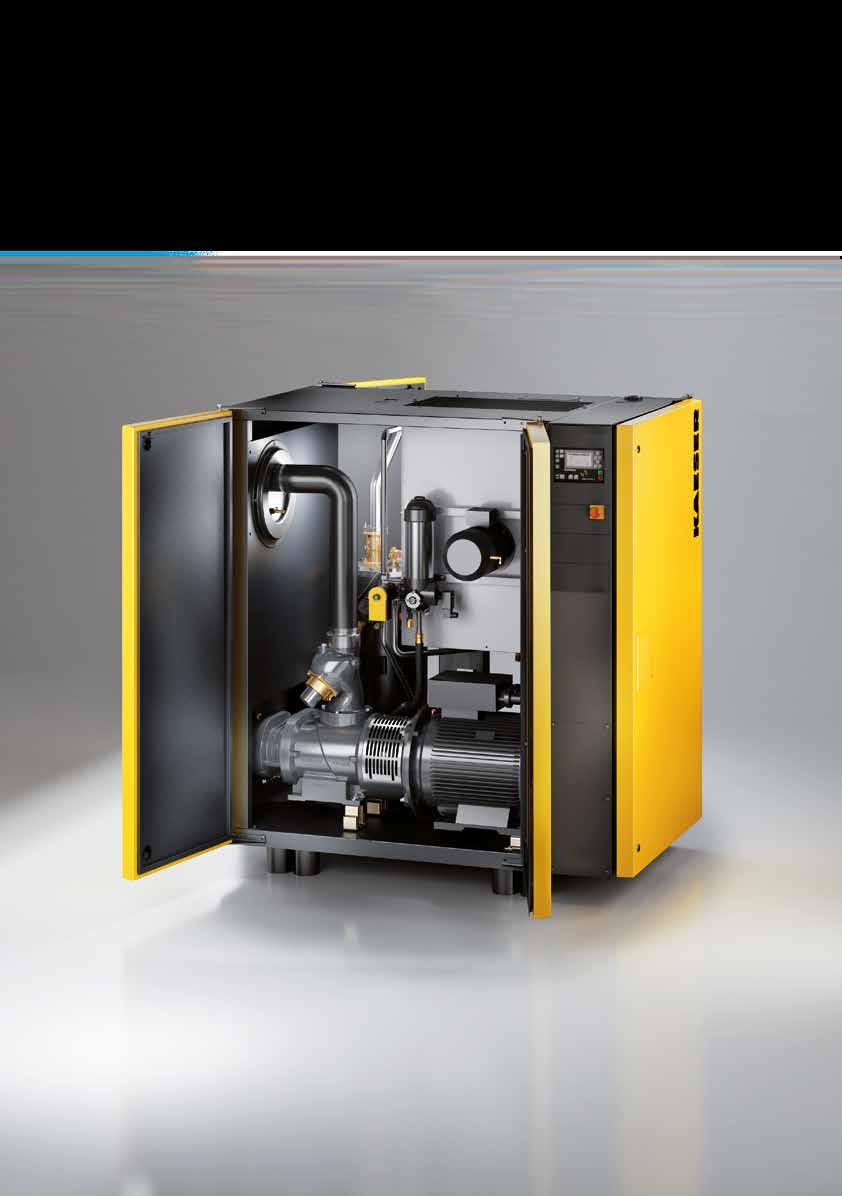 BSD Series Service-friendly design BSD Setting the standard KAESER KOMPRESSOREN pushes the boundaries of compressed air efficiency once again with its latest generation of BSD series rotary screw