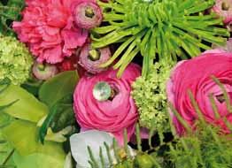 Book your place at the traditional florists spring show! Promote your business by displaying one of your flower arrangements at the Pihapiiri fair.