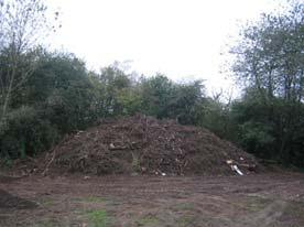 11 COMPOSTING [yard debris] Contact Person: Mike Wilson, Grounds Supervisor (x 244) Compost 100% of yard debris.