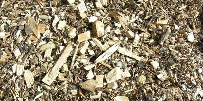 39 WOOD CHIPS Contact Person: Mike Wilson, Grounds Supervisor (x 244) The School encourages arborists to deliver wood chips to the campus. Encourage arborists to deliver wood chips to the campus.