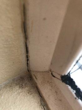 Fungal growth at window frames,