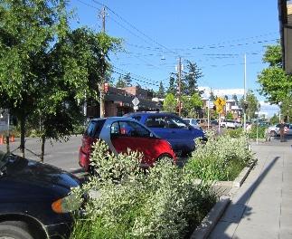 E. Maximize on street parking opportunities along Portola Drive by reconfiguring the existing on
