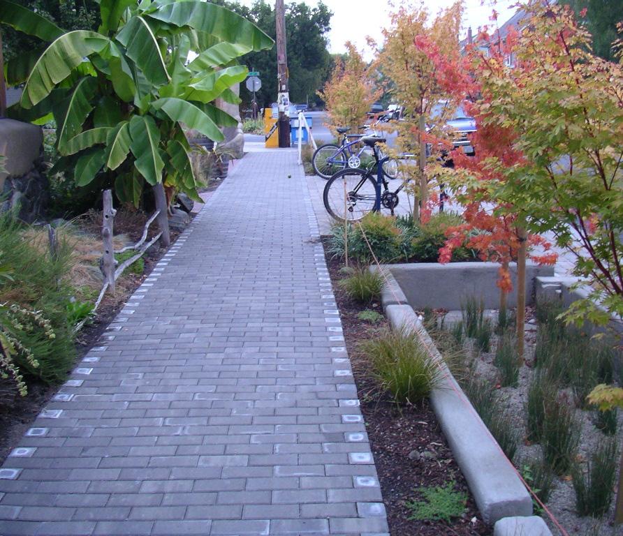 GREEN STREET FEATURES Intent: To create and maintain an integrated green street system that allows for stormwater runoff capture and filtration as part of the overall streetscape design of Portola