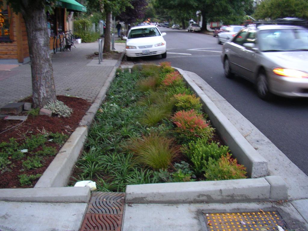Install naturally drained, landscaped stormwater planters where possible, exploring the transition from piped to natural percolation and including these planters on sidewalks, medians, bulb outs,