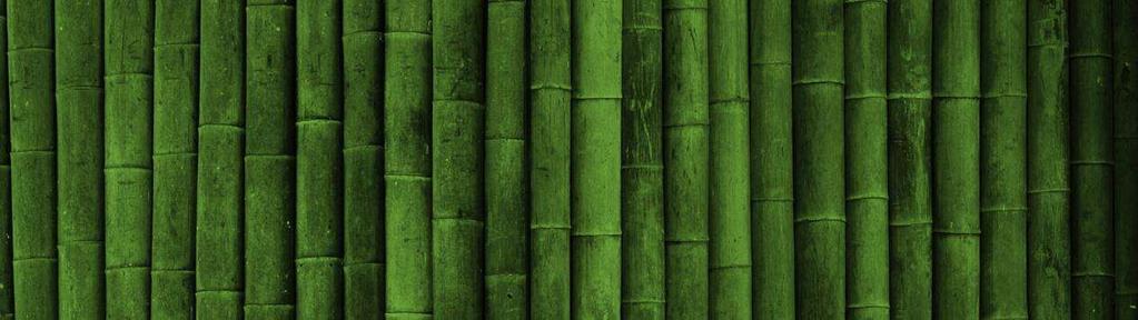 Bamboo, Sustainability & PavilionNOW Bamboo is one of the fastest-growing plants in the world, capable of growing up to 250cm in twenty four hours.