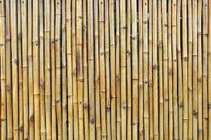 Wash the bamboo: Hose down with water lay lifted horizontally and turn for thorough washing coverage.