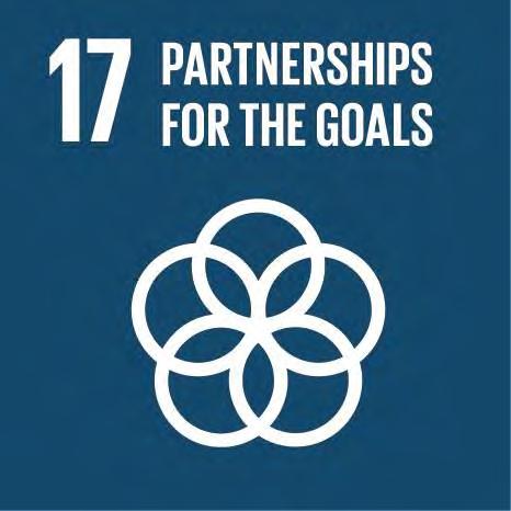 GOAL 17: CLUSTERS MEANS OF IMPLEMENTATION Finance