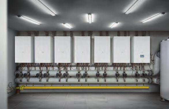CondexaPRO and CondexaPRO Box Stand alone, cascade and box units for commercial applications CONDEXAPRO BOILER BACK TO BACK INSTALLATION The CondexaPRO, a long established product range within the