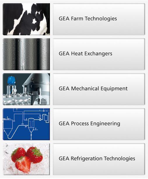 GEA Group Structure Executive Board GEA Group 5 segments, more than 250 companies Chairman: Jürg Oleas Chief Financial Officer : Dr.