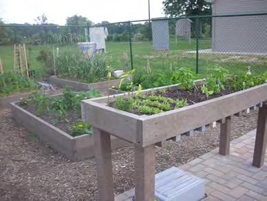 This garden was made possible through funding from the Municipal Land Use Center of the College of New Jersey through the Geraldine R. Dodge Foundation.