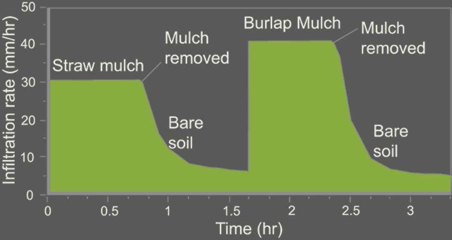 Soil Volume Infiltration rate of a sandy loam under continuous water sprinkling at