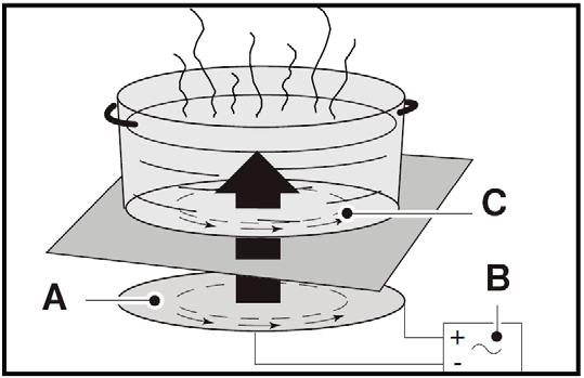 Working Principle A B C Induction coils Glass insulating hob top Ferrous pan base The induction principle The principle of induction is based on a magnetic effect.