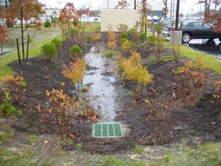 infiltration rate for bioretention