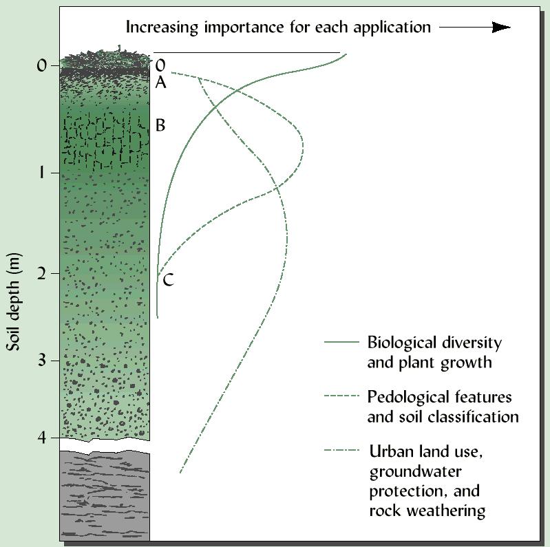 SOIL HORIZONS AND SOIL FUNCTIONS Information important to different soil functions and