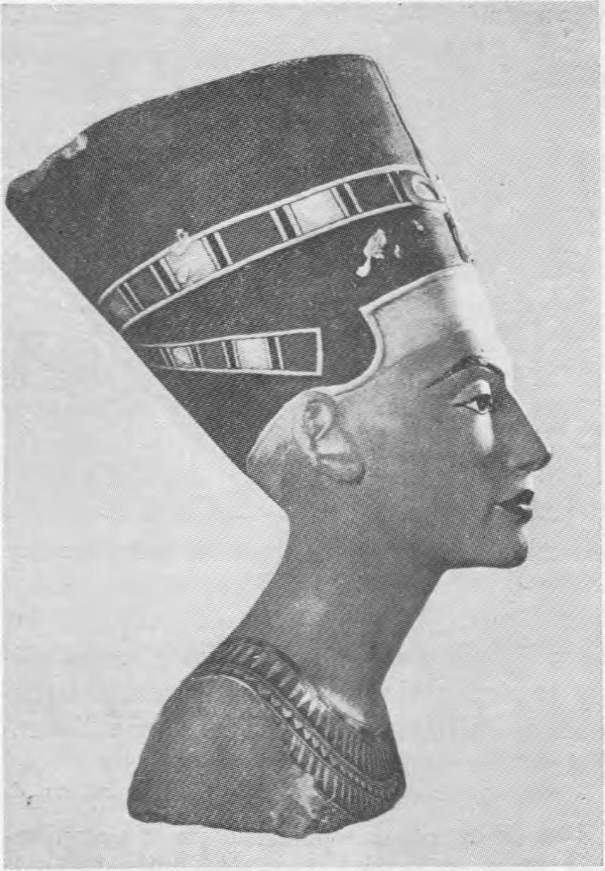 Karalienė Nefertiti. eukaliptai, o aplink žali datulių palmių miškai. Staiga, lyg nurėžta, baigiasi žaluma. Įvažiuojam į dykumos karalystę, o ten jau iš tolo regim ir pačią karalienę Zoserio piramidę.