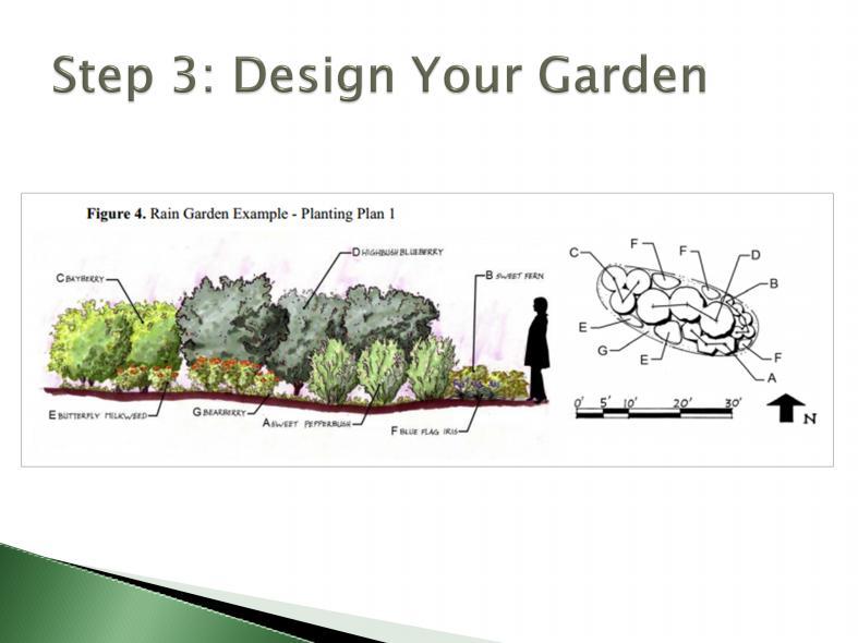 Your guidelines from RIDEM also give guidance to help with the rain garden plant design process.