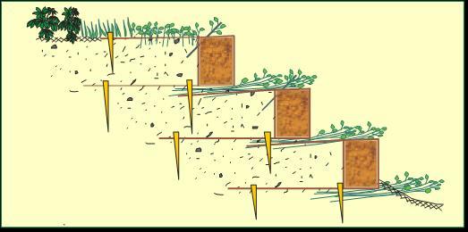 Coir Block System Improvements Before After Unable to plant through coir