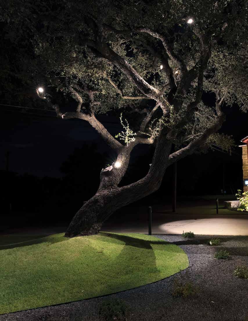 GRAND ACCENT LED LANDSCAPE NEW MOONLIGHTING EFFECT Introducing the first landscape accent lights to deliver up to 2000 lumens of light output.