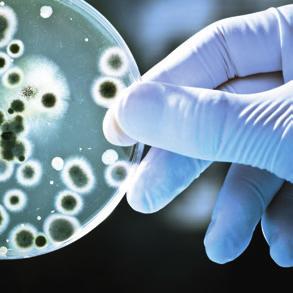 Process your infectious waste on-site MEDICAL CENTERS INDUSTRY RESEARCH LABS Hospitals Analyses R&D Microbiology/Virology/ Bacteriology Medical devices Vets Environment Industry etc.