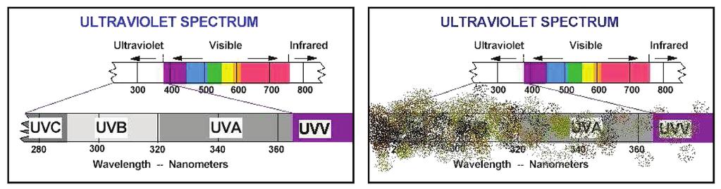 A dirty bulb and reflector delivers very little of the UV spectrum such as no UVB, no UVC and reduced UVA and UVV