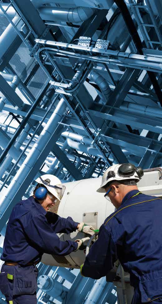 12 VEM drive systems for the chemical, oil and gas industry VEM drive systems for the chemical, oil and gas industry 13 Low voltage VEM low-voltage motors are already in reliable operation for