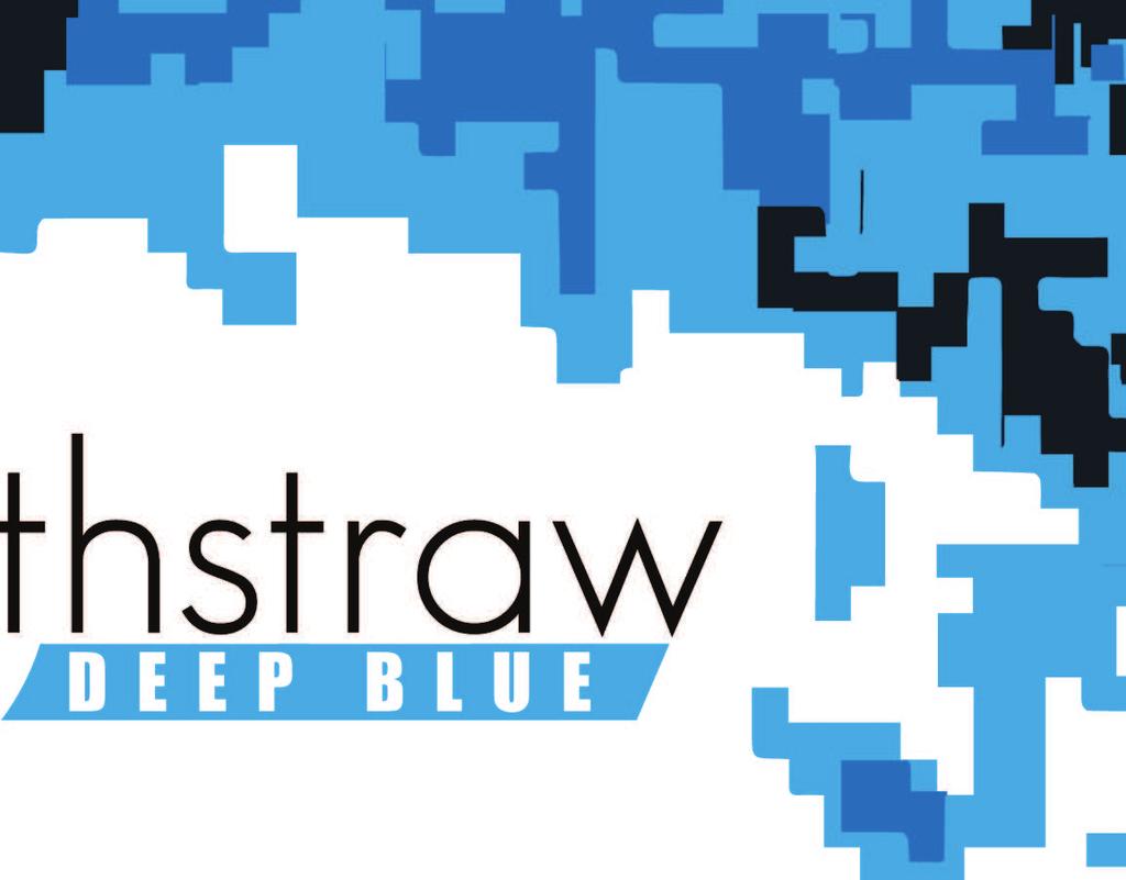 Congratulations! You now own the EarthStraw Deep Blue hand-well-pump system. This unique and versatile pump system is designed for rapid deployment and existing electric pump.