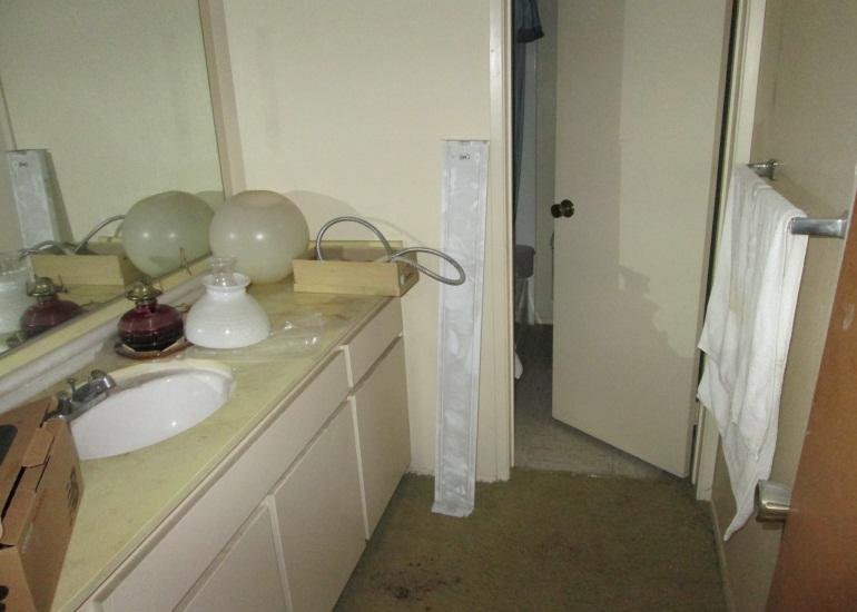 MASTER BATH: New toilet - Elongated Bowl (Inspect subfloor around toilet) Hot Mop shower Install new shower glass door (Clear glass Frameless) Install new Home Depot vanity cabinet - White New