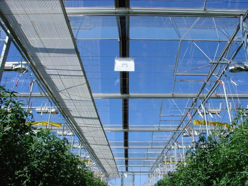 Shade in the brightest part of the day can reduce temperature & water stress Deployable shade systems are best (they give
