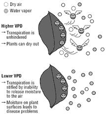 Managing humidity (Vapor Pressure Deficit or VPD) to optimize plant growth VPD is