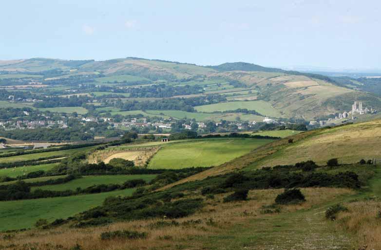 Character Area: Purbeck Ridge The Purbeck Ridge is a dominant steep sided, undulating chalk ridge, separating and contrasting to the flat heathlands in the north and the patchwork landscape of the