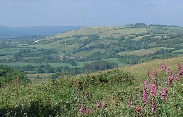 Character Area: North Dorset Escarpment The North Dorset Escarpment with its steep, twisting and incised landform provides a contrasting backdrop to the Blackmore Vale in the north and the series of