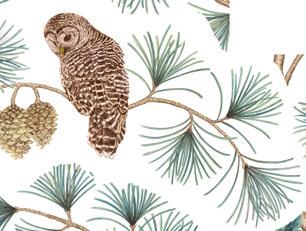 ELYSIAN THE BEAUTY OF THE NATURAL WORLD MEETS ANCIENT LANDSCAPES IN ELYSIAN FROM SANDERSON, THE CAPTIVATING NEW COLLECTION FOR AUTUMN/WINTER 2018 In the distance a wide-eyed snowy owl perches on