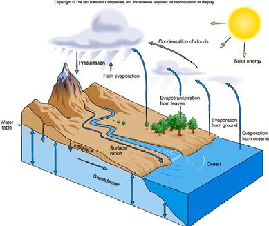 Hydrological Cycle -