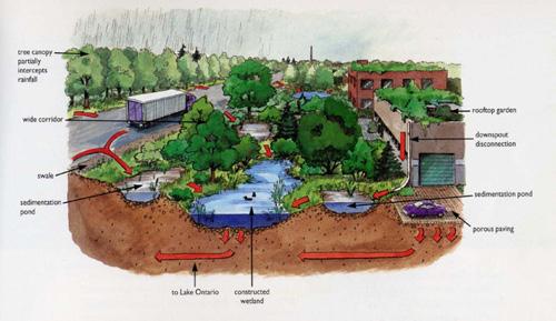 Integrated Stormwater Planning Helps