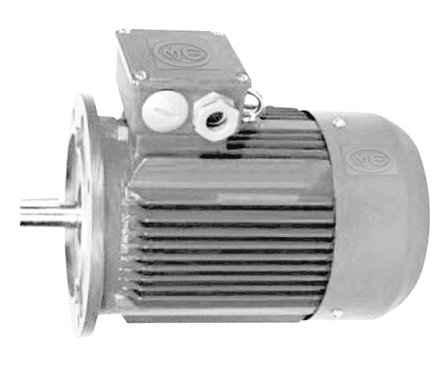 1. GENERAL INTRODUCTION OM IE1 series three phase asynchronous motor with cast iron housing.