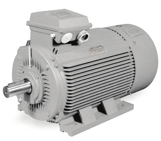 1. GENERAL INTRODUCTION DOUBLE SPEED MOTORS OM series three phase multi-speed induction motors are one of the derived series of IE1 series induction motors of our national uniform design.
