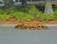 February) and brush collection (large limbs). During November, December and January, the City of Rock Hill will pick up leaves and brush at the curb every other week in all neighborhoods.