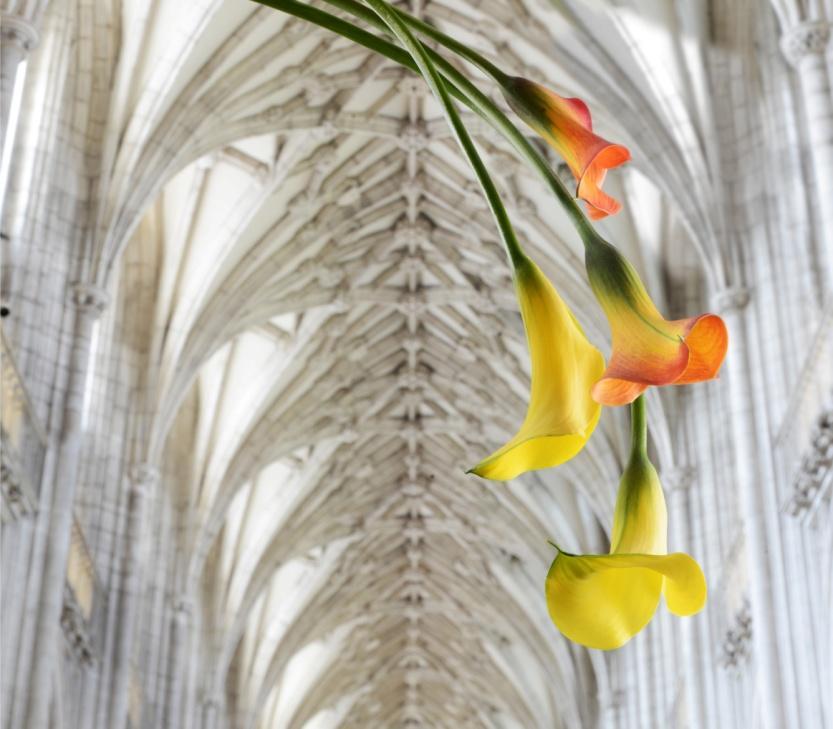 HEAVENLY FLOWERS AT WINCHESTER CATHEDRAL 24 28 JUNE 2015 Expect a flower extravaganza like no other.