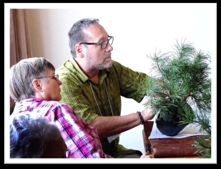 The Artists (Continued) Shohin Spruce Bonsai - John worked "a little magic" to