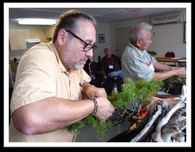 scheduled Japanese Yew workshop was expanded to include a greater variety of