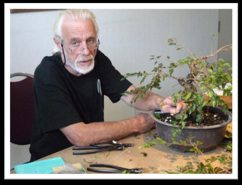 Colin Lewis: - a world-renowned bonsai artist and author, Colin is the founder of Bonsai Magazine and has been teaching the art of bonsai for over 30 years.