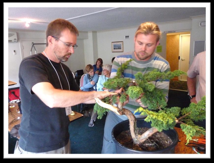 The Artists: (Continued) The Vancouver Island Bonsai Society Michael Hagedorn: - one of the "new American masters", Michael holds a degree in Fine Art with a Masters in Ceramics from New York State