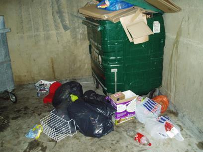 0 Very poor Internal: Significant amounts of litter, leaves, food waste and other rubbish on